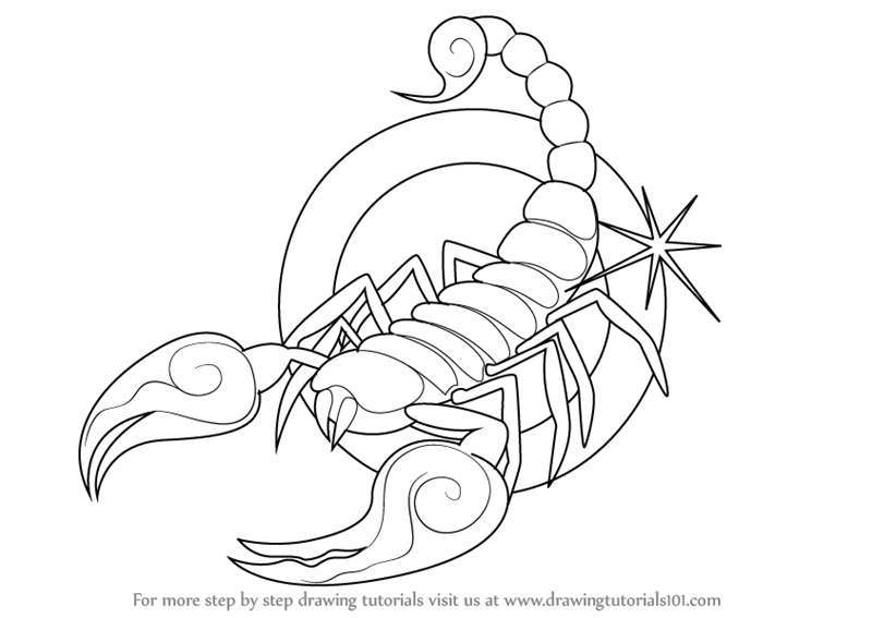 800x567 learn how to draw scorpio zodiac sign - Scorpio Drawing