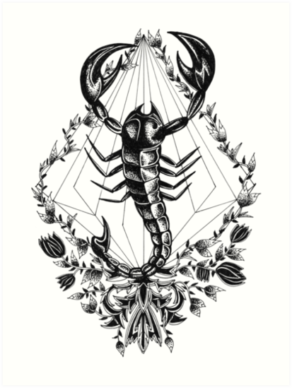 413x549 scorpio art prints - Scorpio Drawing
