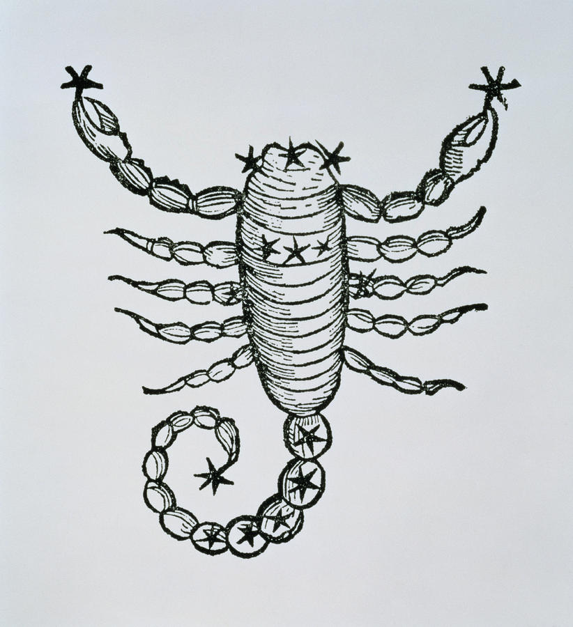 822x900 scorpio drawing - Scorpio Drawing