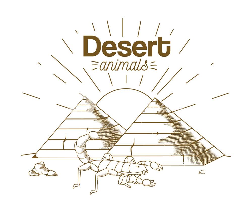 1000x849 Egyptian Scorpions Hand Drawing Cartoon Vector Illustration - Scorpion Cartoon Drawing