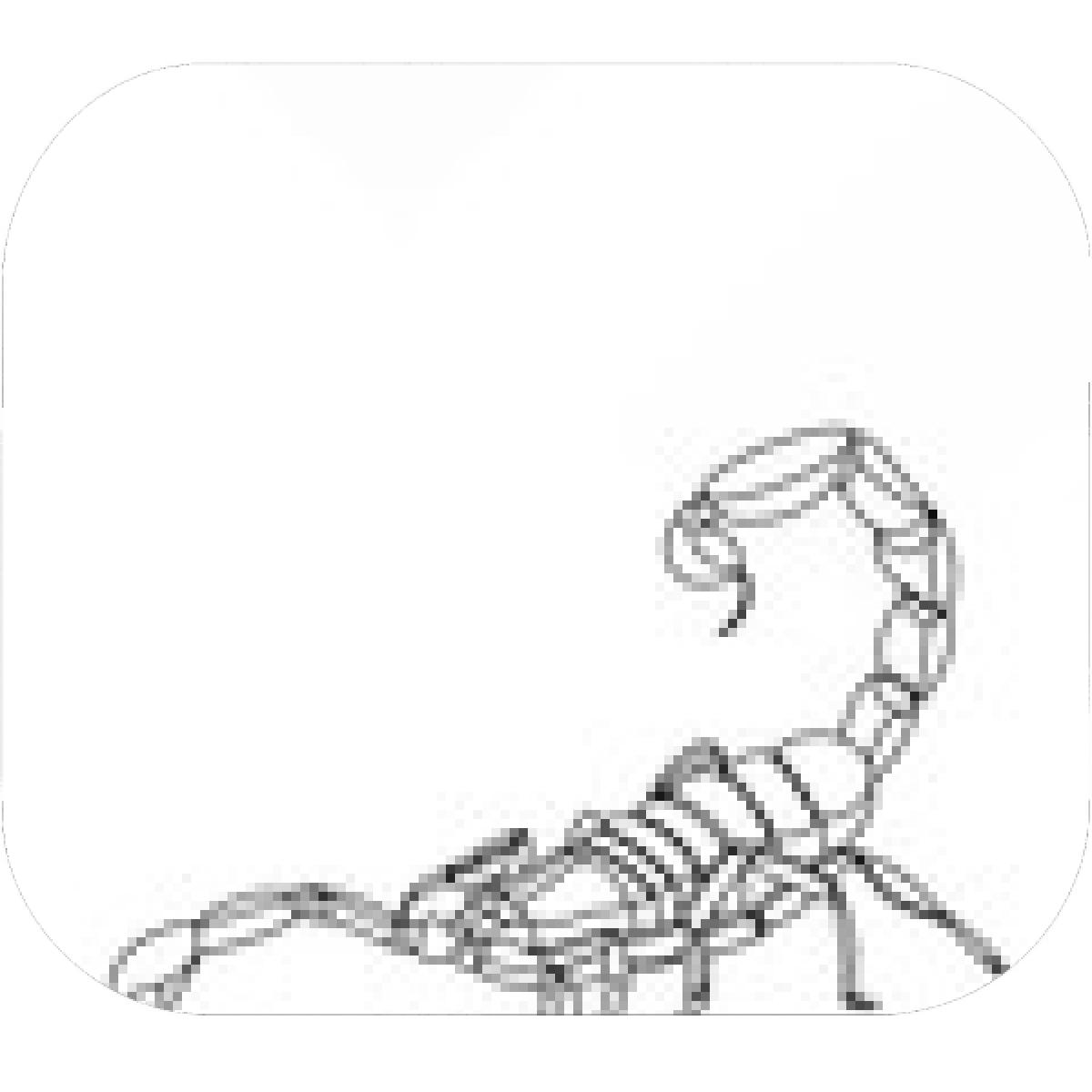 1200x1200 Designs Mein Mousepad Design Mousepad Selbst Designen - Scorpion Cartoon Drawing