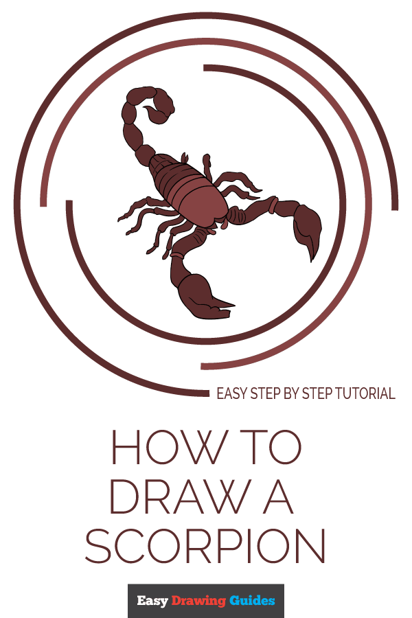 600x900 How To Draw A Scorpion - Scorpion Drawing