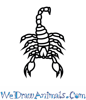 300x350 How To Draw An Emperor Scorpion - Scorpion Drawing