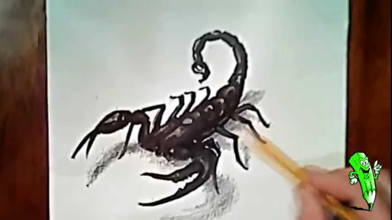 1280x720 How To Draw A Scorpion - Scorpion Drawing