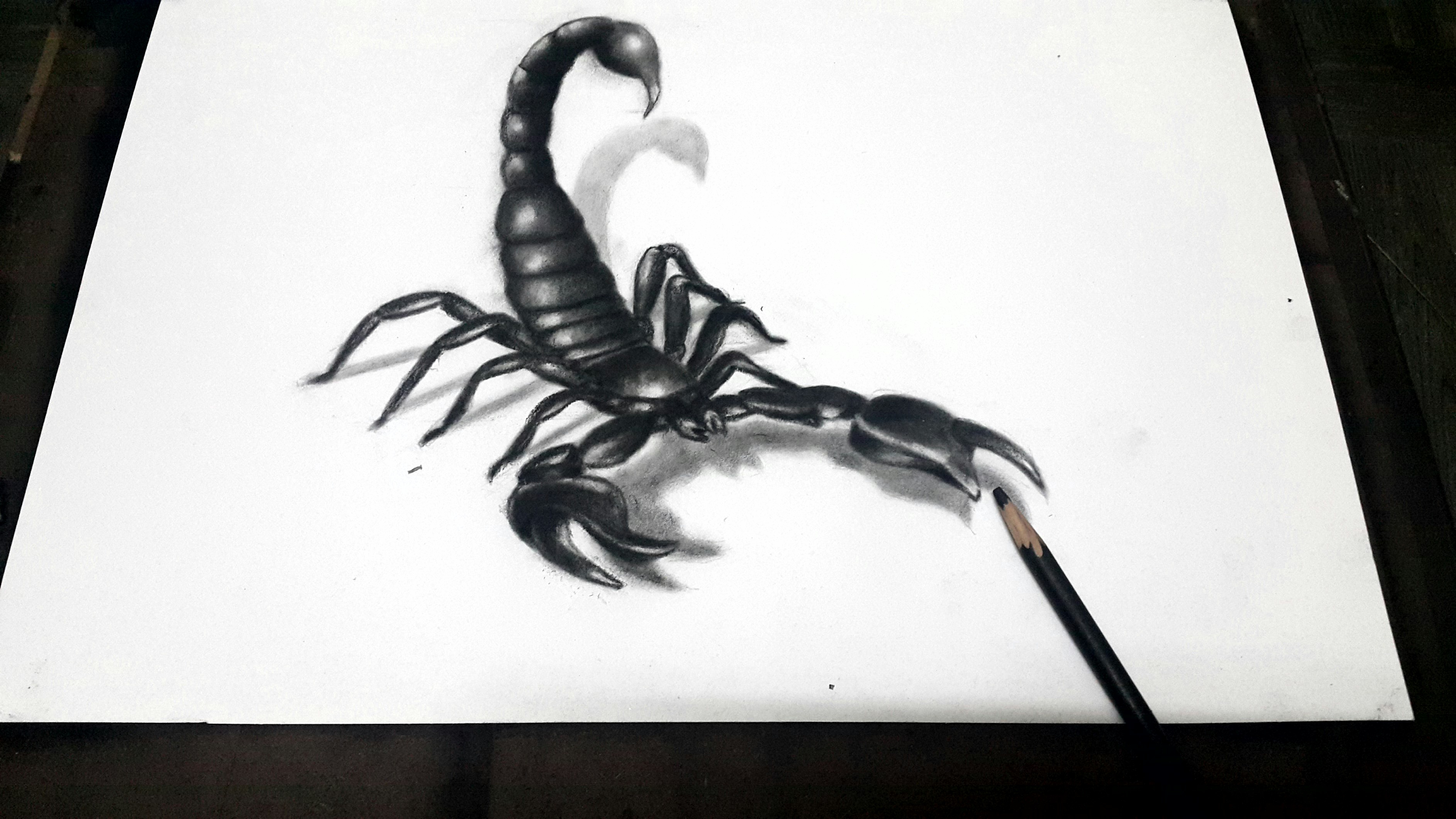 3771x2121 Draw It Better - Scorpion Drawing