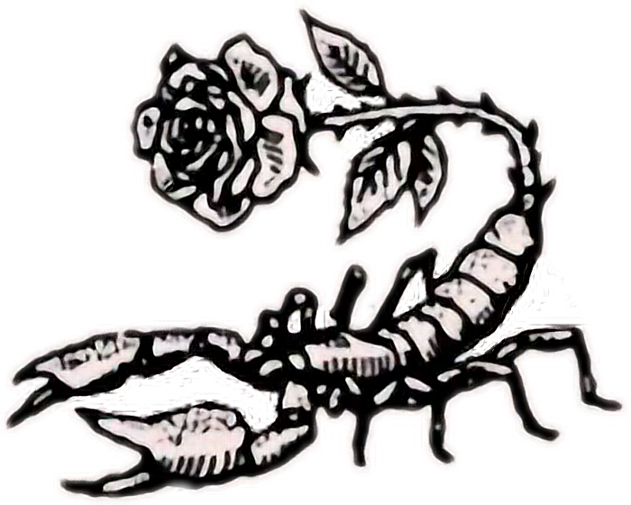 700x560 Drawing Scorpions Anime Transparent Png Clipart Free Download - Scorpion Drawing Images