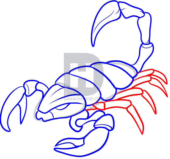 542x508 How To Draw Scorpions, Step - Scorpion Drawing Images