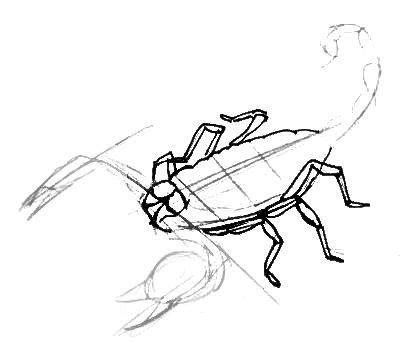 400x342 How To Draw A Scorpion - Scorpion Drawing Images