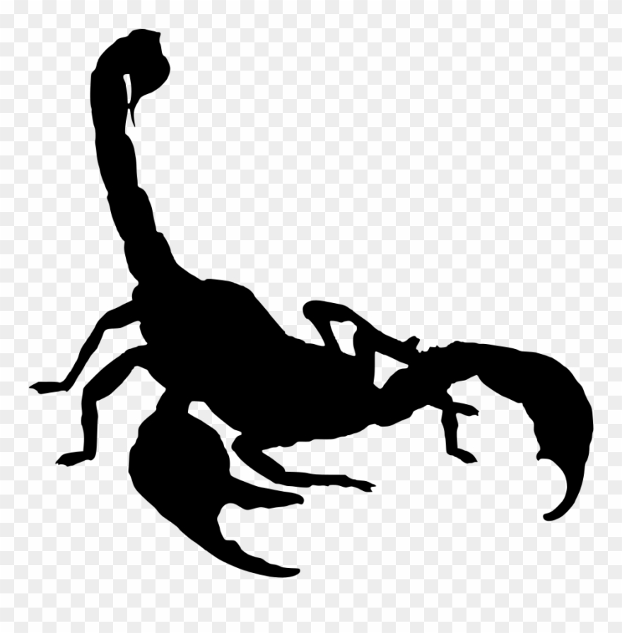 880x896 Scorpion Drawing Arachnid - Scorpion Drawing Images