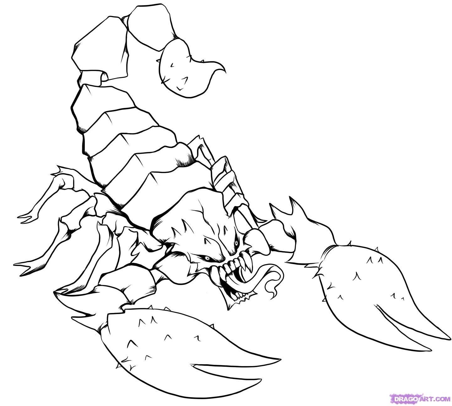 1440x1293 Scorpion Drawing Step - Scorpion Drawing Images