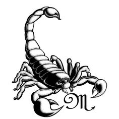 236x236 scorpion drawings for girls scorpio symbol and scorpion tattoo - Scorpion Drawing Images