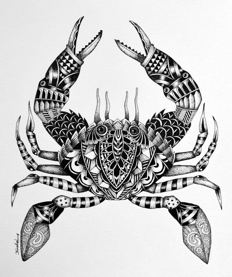 800x952 Scorpion - Scorpion Drawing Images