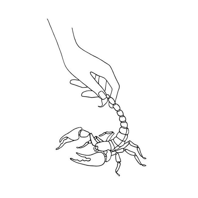 794x794 Scorpion Digital Print Instant Download Print Sketch Black Etsy - Scorpion Drawing Images