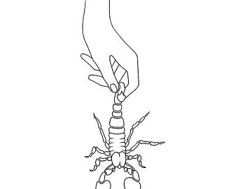 340x270 Scorpion Drawing Etsy - Scorpion Drawing Images