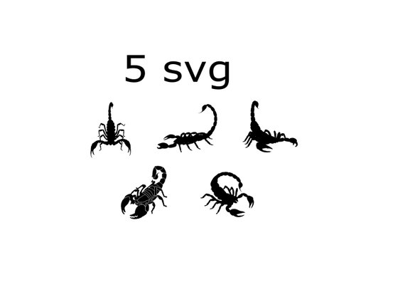 570x403 scorpion scorpion drawing scorpion clip art scorpion etsy - Scorpion Drawing Images