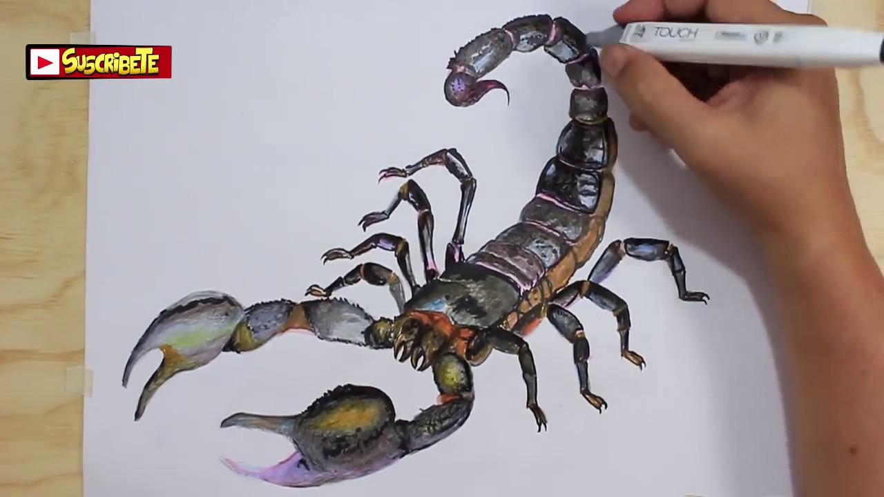 1280x720 Scorpion Drawingamazing Realistic Illusion - Scorpion Drawing Images