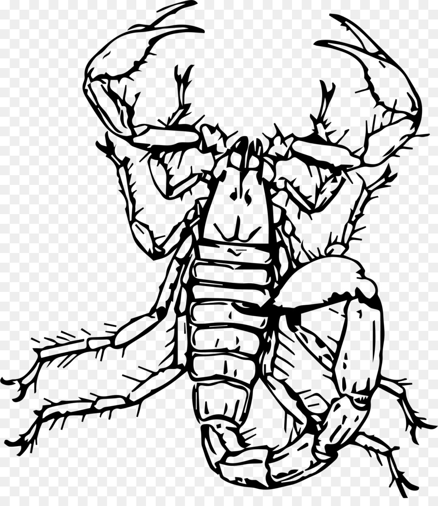 900x1040 Drawing, Head, Graphics, Transparent Png Image Clipart Free Download - Scorpion Drawing Images