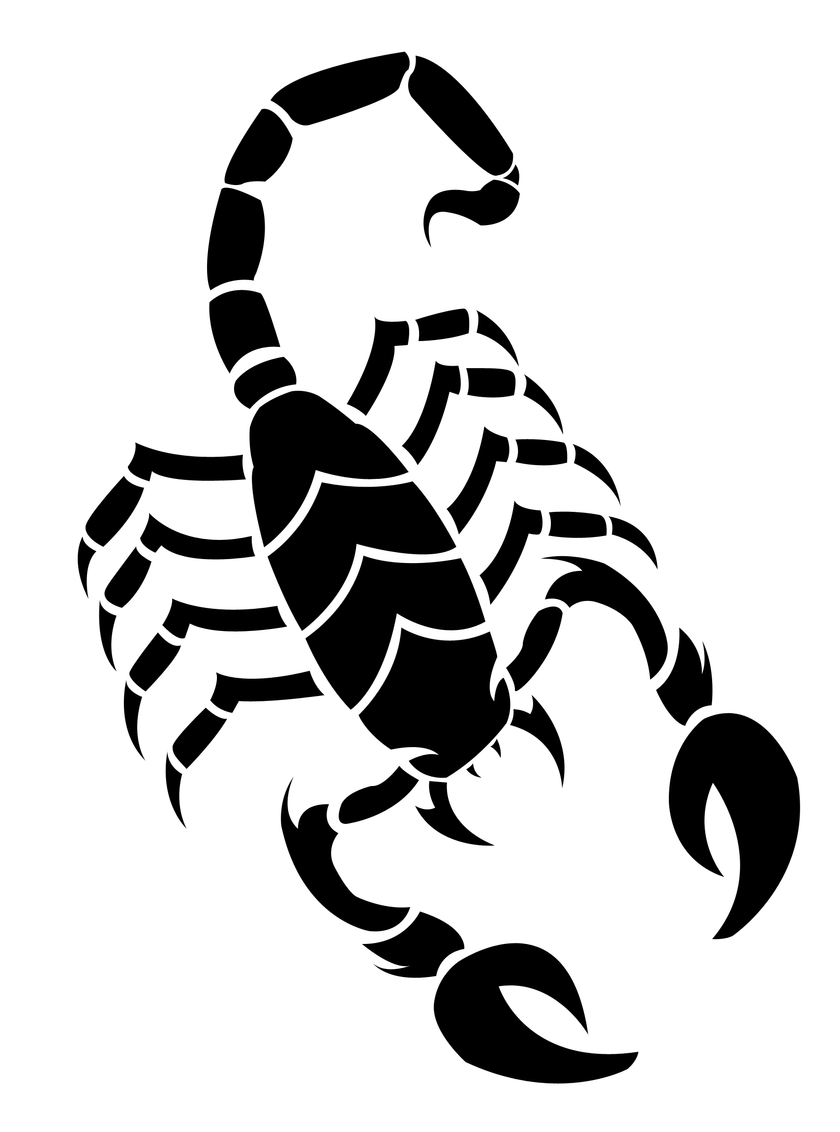 Scorpion Line Drawing at Explore collection of