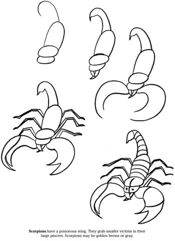 350x481 Photos How To Draw Scorpions - Scorpion Line Drawing