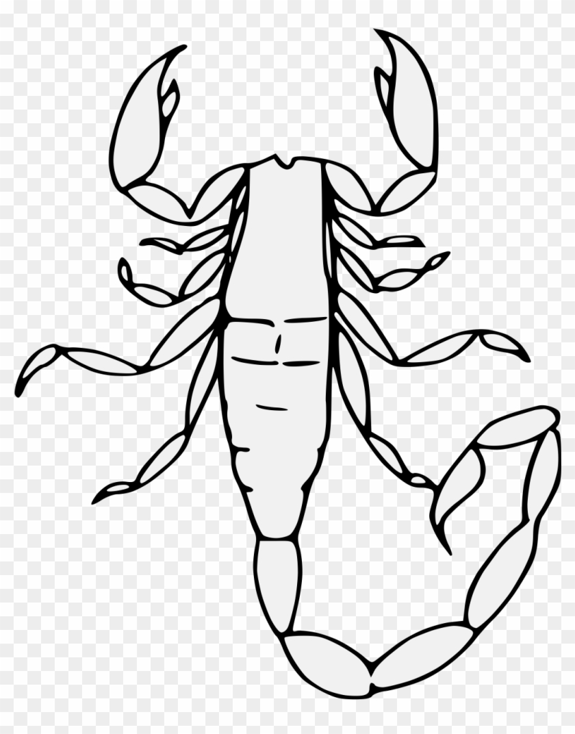 840x1072 Scorpion - Scorpion Line Drawing