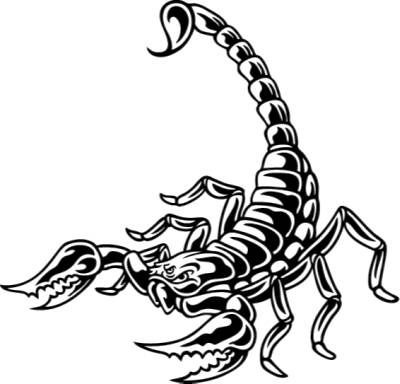 400x384 Scorpion Celtic Transparent Png Clipart Free Download - Scorpion Line Drawing