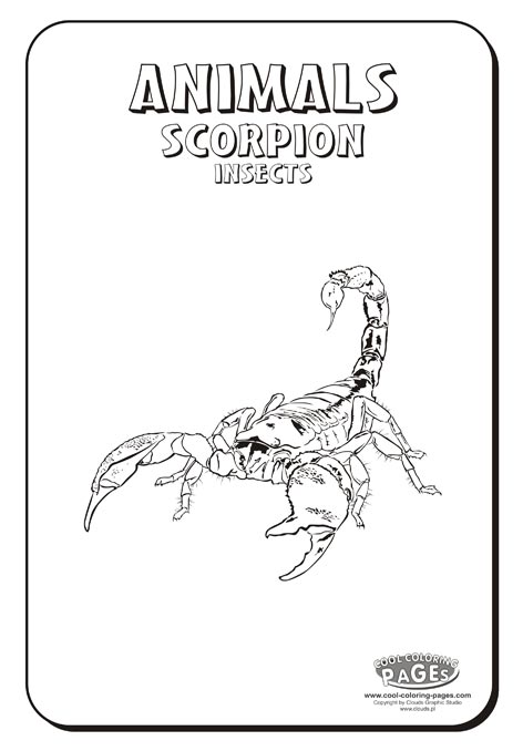 472x678 Scorpion Line Drawing - Scorpion Line Drawing