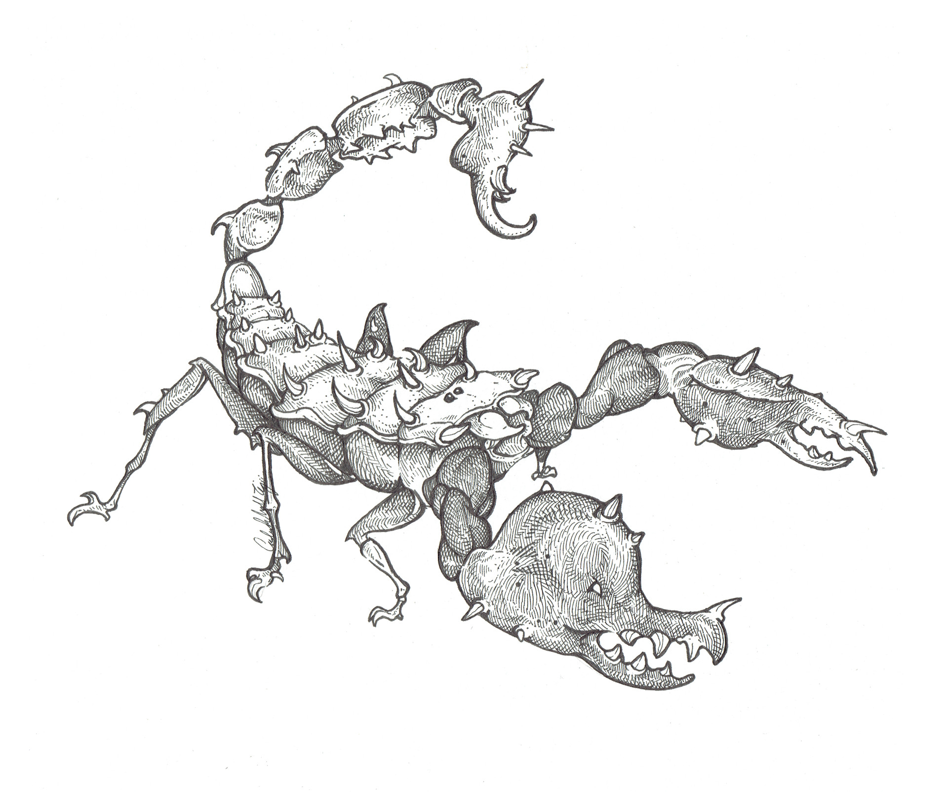1920x1604 Artstation - Scorpion Line Drawing