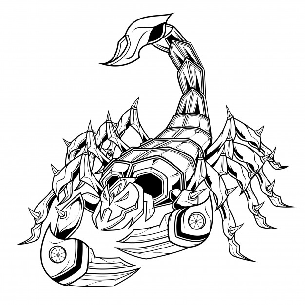 626x626 Scorpion Line Art Illustration Vector Premium Download - Scorpion Line Drawing