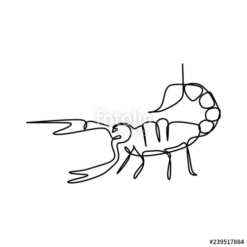 500x500 Scorpion One Line Art Drawing Vector Stock Image And Royalty Free - Scorpion Line Drawing