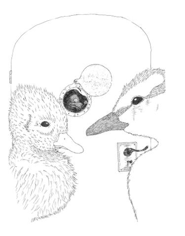 375x477 The Friendliest Little Scorpion - Scorpion Line Drawing