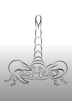 250x350 You Searched For Scorpions Line Drawing On White Background - Scorpion Line Drawing