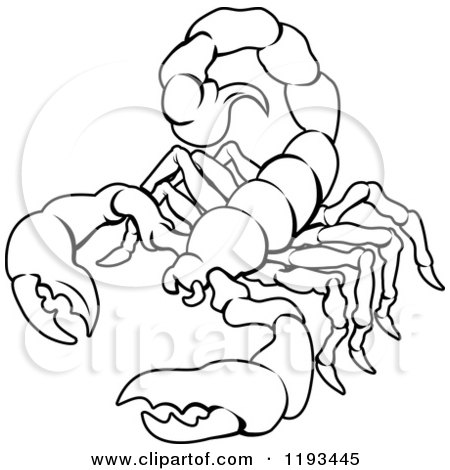 450x470 Clipart Of A Black And White Line Drawing Of The Scorpio Scorpion - Scorpion Line Drawing