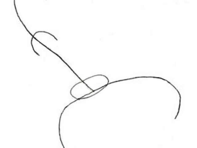 640x480 Drawn Scorpion Line Drawing - Scorpion Line Drawing