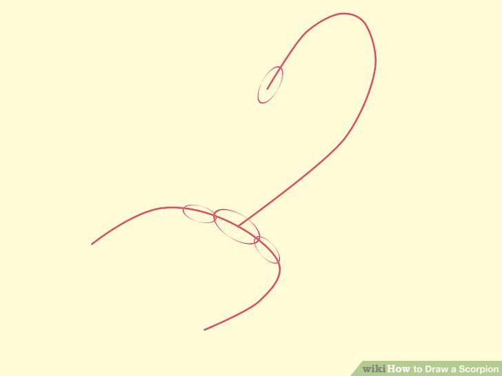 728x546 How To Draw A Scorpion - Scorpion Outline Drawing