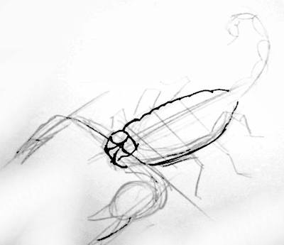 400x345 How To Draw A Scorpion - Scorpion Outline Drawing