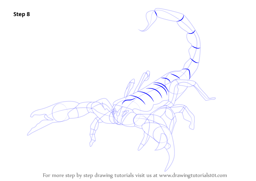 843x596 learn how to draw an emperor scorpion - Scorpion Outline Drawing