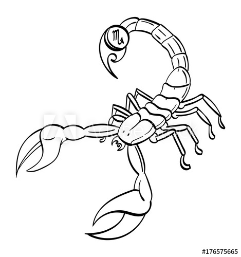 469x500 Scorpio - Scorpion Outline Drawing