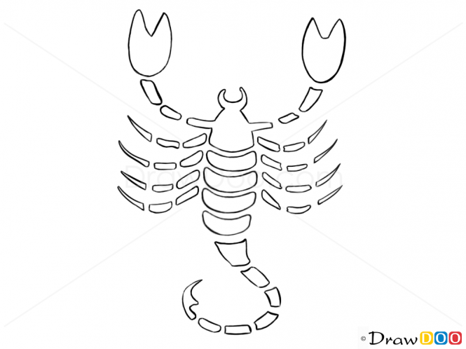 665x498 Scorpion Drawing Easy For Free Download - Scorpion Outline Drawing