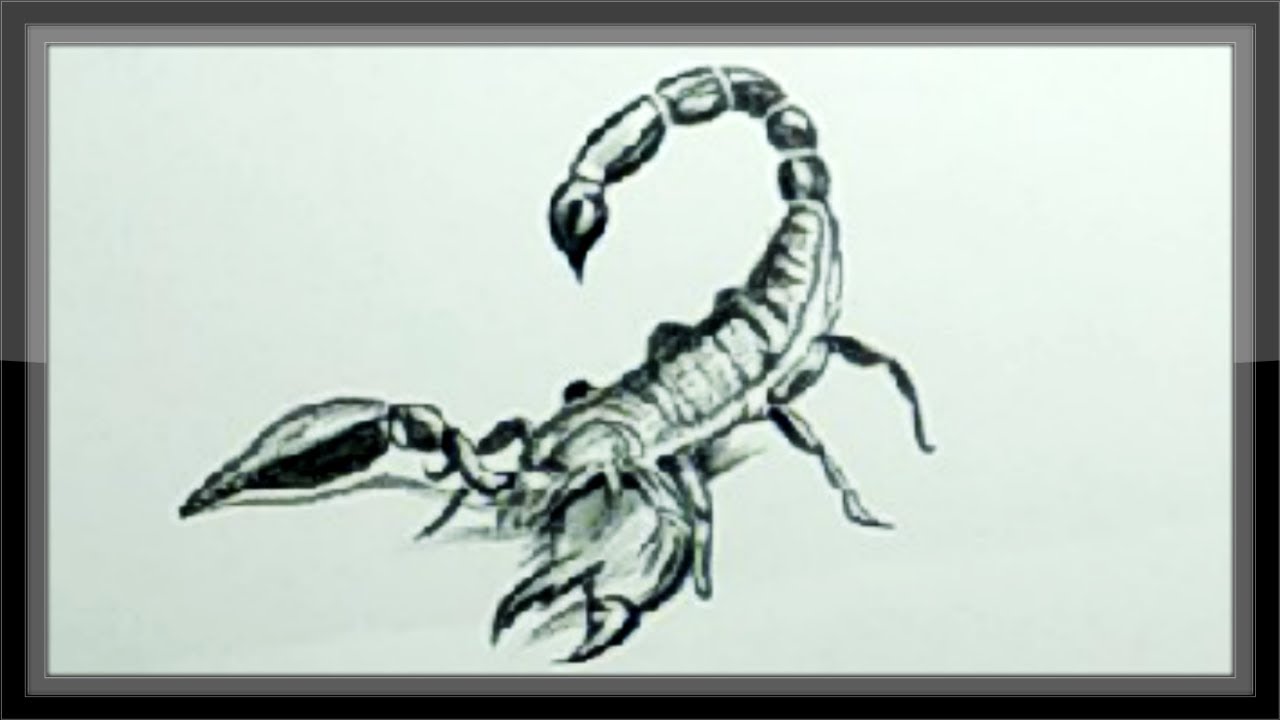 1280x720 Easy Pencil Drawing A Scorpion Step - Scorpion Pencil Drawing