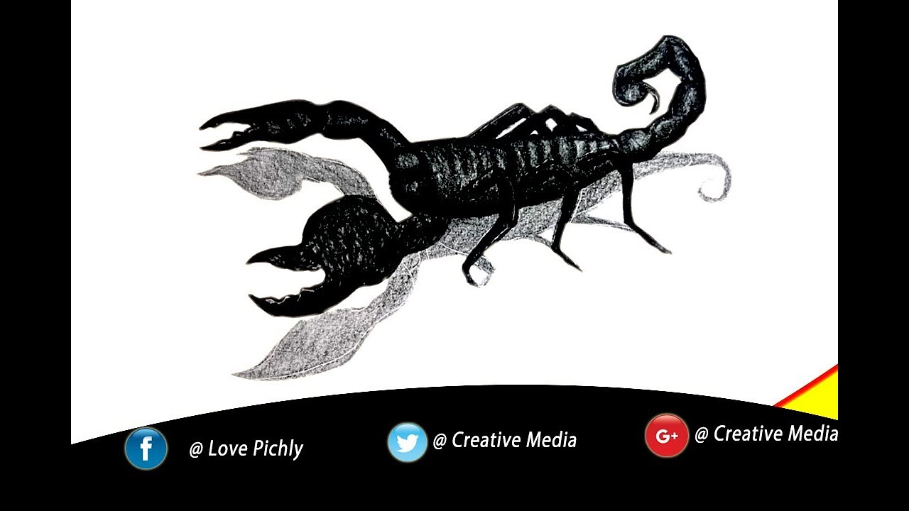 1280x720 emperor scorpion how to draw animals - Scorpion Pencil Drawing