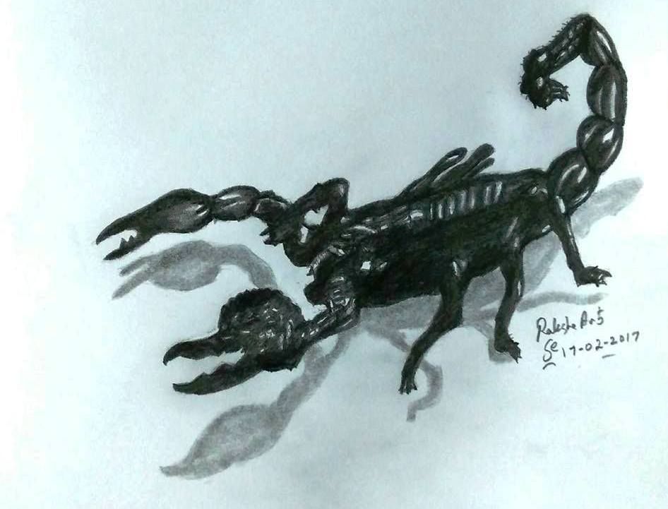 946x721 Pencil Drawing - Scorpion Pencil Drawing