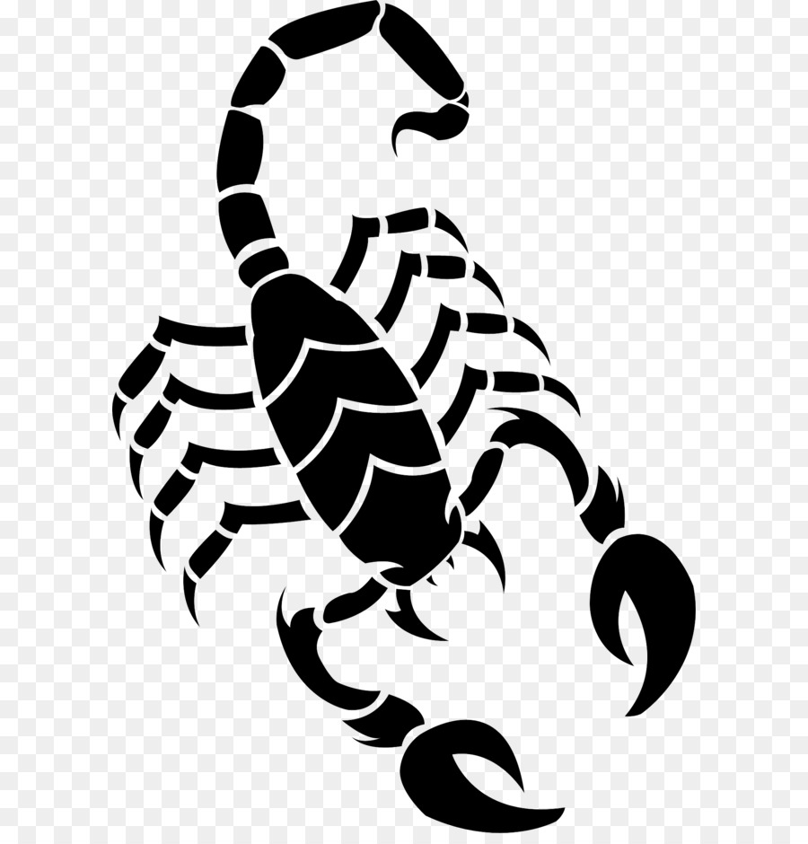 900x940 scorpion pencil drawing and scorpion drawing clip art - Scorpion Pencil Drawing