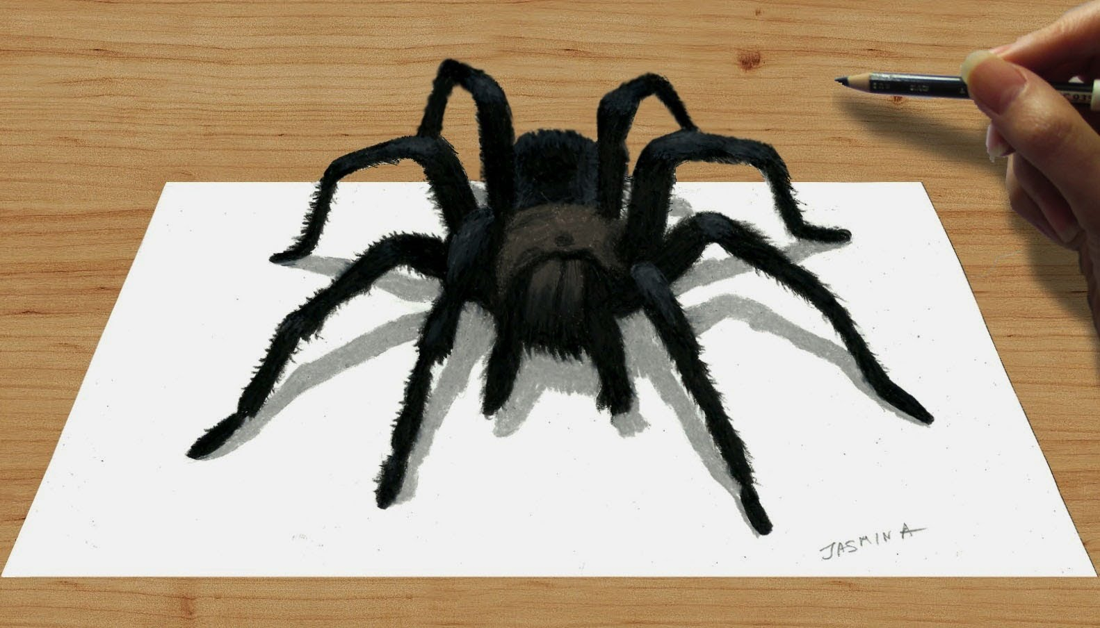 1582x904 Scorpion Pencil Drawing Pencil Drawing Of A Black Spider - Scorpion Pencil Drawing