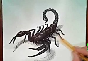 300x210 scorpion pencil drawing scorpion pencil drawing colored - Scorpion Pencil Drawing