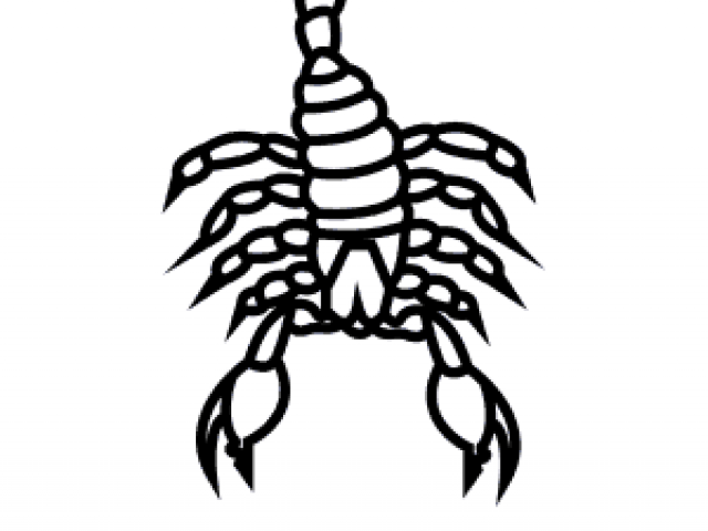 640x480 Drawn Scorpion Tail - Scorpion Tail Drawing