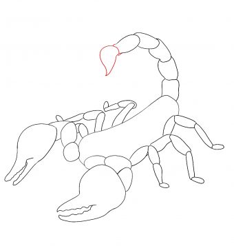340x357 How To Draw A Scorpion - Scorpion Tail Drawing