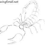 150x150 How To Draw A Scorpion Tail How To Draw A Scorpion Monster - Scorpion Tail Drawing