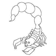 Scorpion Tail Drawing at PaintingValley.com | Explore collection of ...