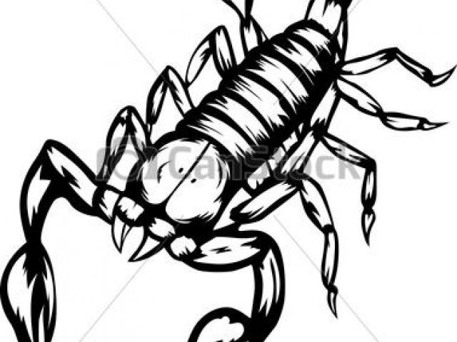 640x480 Scorpion Clipart Scorpion Tail - Scorpion Tail Drawing
