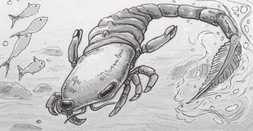 825x428 Specializations Of A Sea Scorpion's Tail Suggest It Was Used - Scorpion Tail Drawing